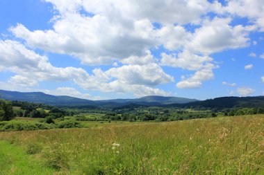 Kırsal kesimde yaz çayırı