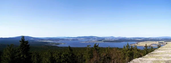 Panoramisch Uitzicht Groen Bos Met Meer — Stockfoto