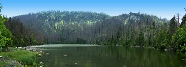 Mountain Glacier Lake Scenic View — Zdjęcie stockowe