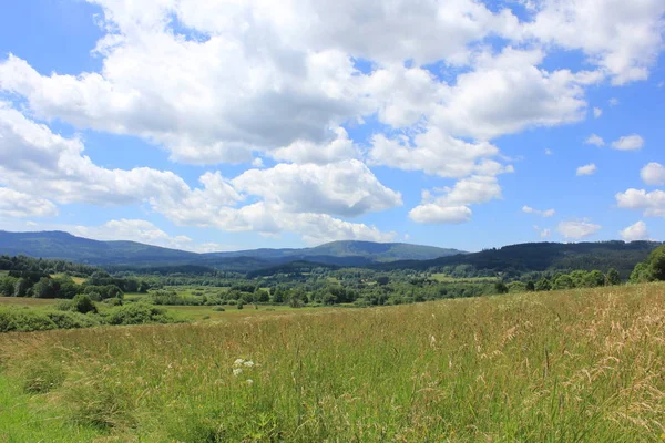 Summer Meadow Countryside — Stockfoto