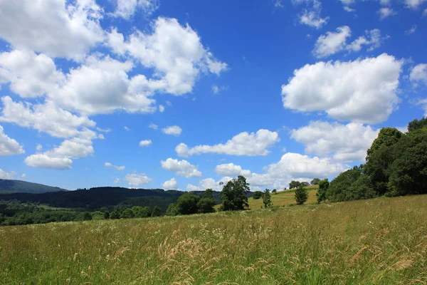 Summer Meadow Countryside — ストック写真