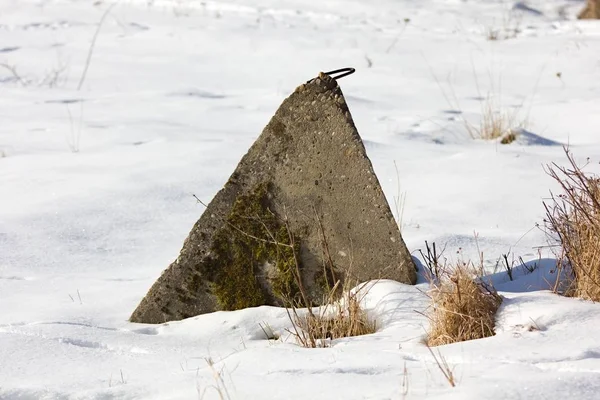 Pile Snow Covered Grass Forest — Foto de Stock