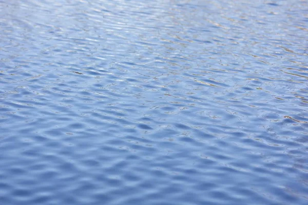 Water surface and ripples in the background, water surface and texture reflections.