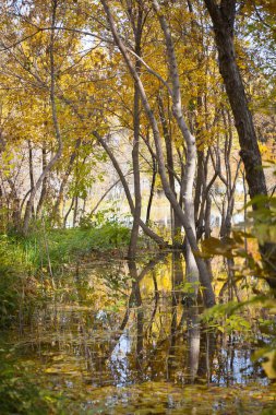 Sonbaharda güzel bir manzara