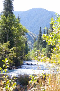 nehir ve dağlar yaz