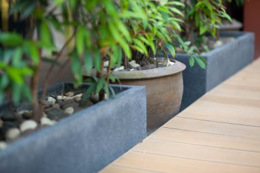 yeşillik tencere ve parça