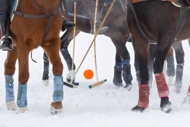 Winter horse polo game. Snow field and Ball throw. A big plan 
