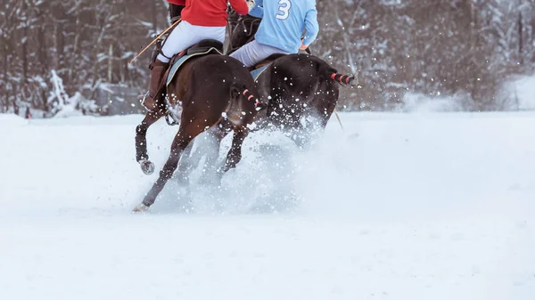 Los caballos de polo corren en el juego. Un gran plan. Vista trasera. Caballos patas en la nieve —  Fotos de Stock