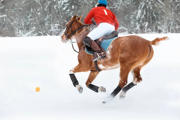 A horse polo player runs a gallop on a horse in an attack with mallet — ストック写真