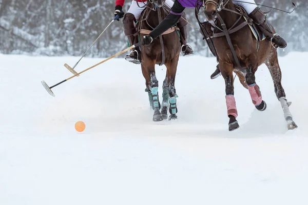 Two rival players in horse polo riding a horse with a mallets and a ball — ストック写真
