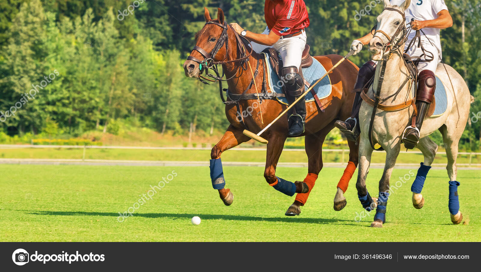 Foto de Cavalos De Polo e mais fotos de stock de Jogo de Polo