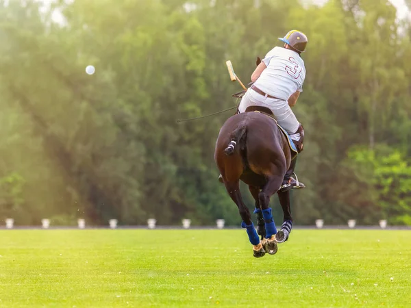 馬のポロ選手は マレットでボールを打つ 馬は畑を飛び越える 森と雲の空 オーバーキャストコピースペース — ストック写真