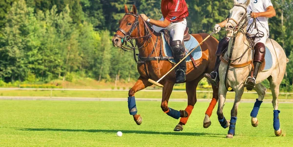 Dos Jugadores Polo Caballo Corriendo Hacia Ataque Momento Antes Que —  Fotos de Stock