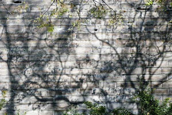 Shadow of the wall/ Xi\'an, China, November 20, 2017,Tree shadow under the walls of Xi\'an