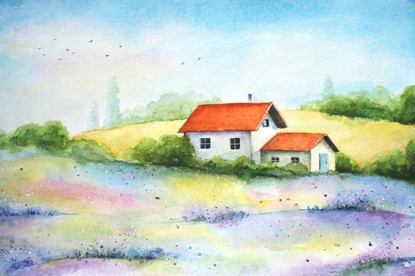 Aquarelle Peinture Vivante Campagne Paysage Rural Avec Champs Blé Fleurs — Photo