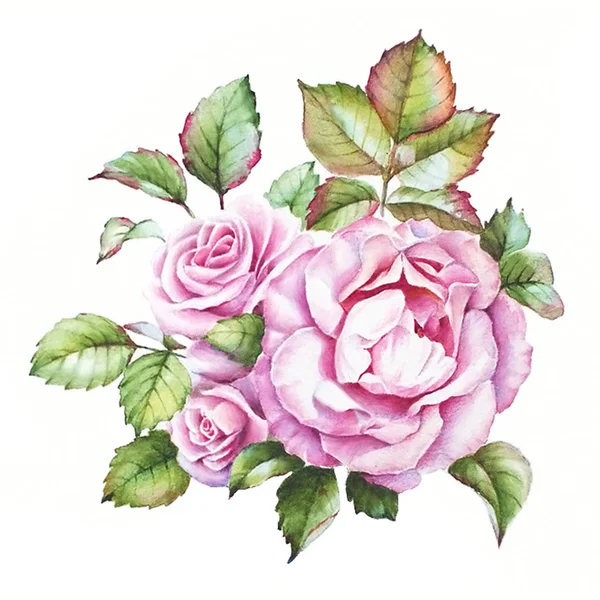 Disegno Acquerello Mazzo Tre Rose Rosa Con Foglie Colorate — Foto Stock