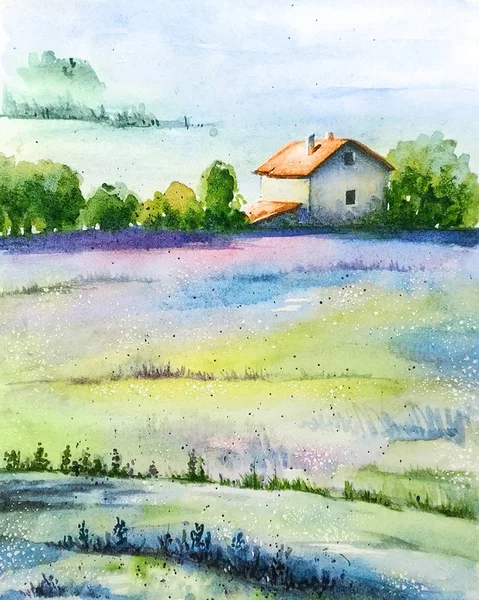 Aquarela Pintura Vívida Campo Paisagem Rural Com Campos Trigo Flores — Fotografia de Stock