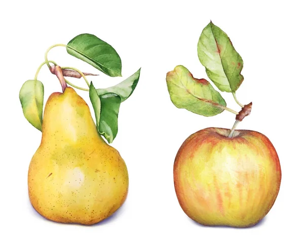 Aquarelle Illustration Dessinée Main Pomme Poire Fruits Avec Des Feuilles — Photo