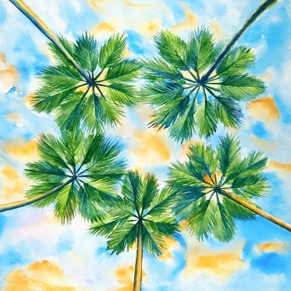 Aquarel Illustratie Van Palmen Tegen Blauwe Hemel Met Oranje Wolken — Stockfoto