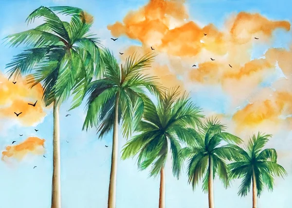 Акварельная Иллюстрация Ладоней Фоне Голубого Неба Оранжевыми Облаками Закате Вид — стоковое фото