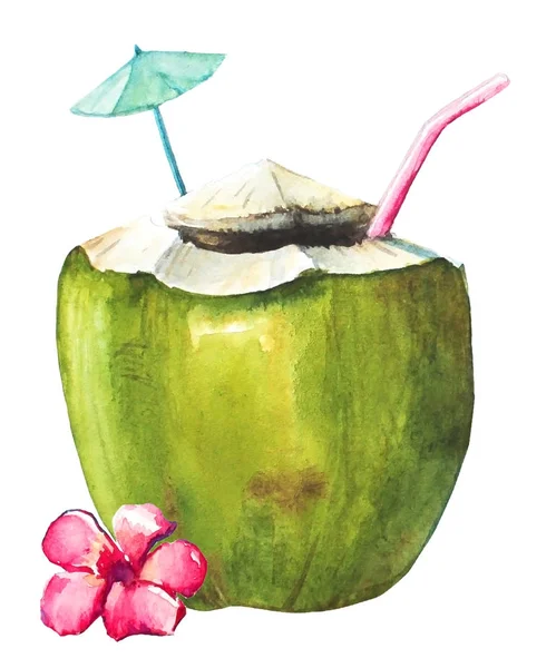 Akvarell Handritad Kokos Cocktail Med Halm Och Rosa Tropisk Blomma — Stockfoto