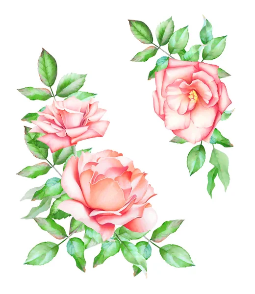 Hand Drawn Watercolor Set Orange Roses Leaves Isolated White Background — Stock Photo, Image