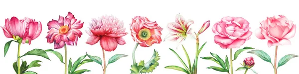 背景与水彩夏天花和莓果 适用于横幅 问候语和请柬的设计 — 图库照片