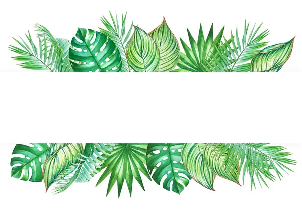 Akvarell Ram Med Tropiska Löv Isolerad Vit Bakgrund Illustration För — Stockfoto