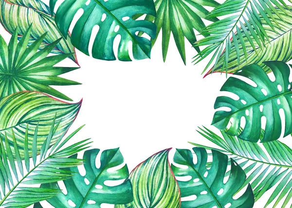 Watercolor Frame Leaves Coconut Palm Tree Isolated White Background Illustration — Stock Photo, Image