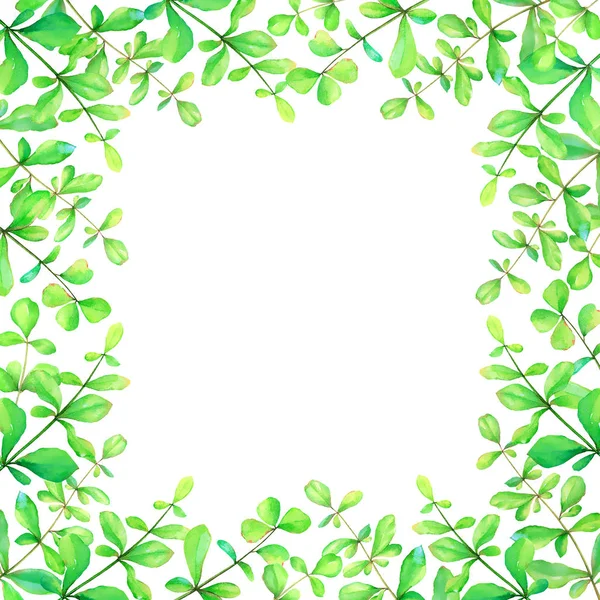 Aquarell Blumenrahmen Mit Handgezeichneten Grünen Kräutern Isoliert Auf Weißem Hintergrund — Stockfoto