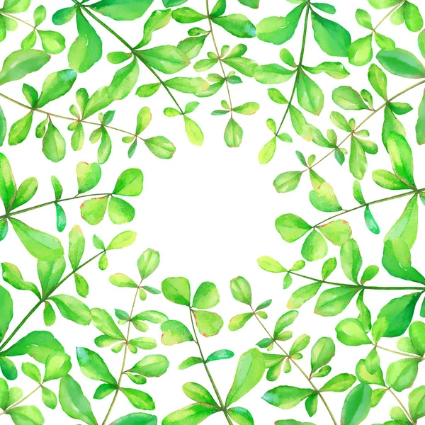 Acuarela Fondo Floral Con Hierbas Verdes Dibujadas Mano Aisladas Sobre — Foto de Stock