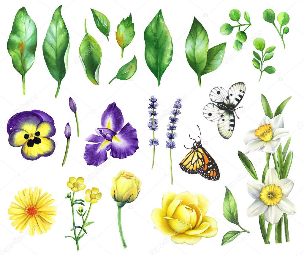 Watercolor floral set with green leaves, violet and yellow flowers and butterflies isolated on white background.