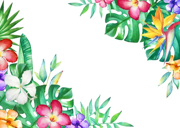 Moldura Aquarela Com Folhas Tropicais Flores Isoladas Fundo Branco Ilustração — Fotografia de Stock