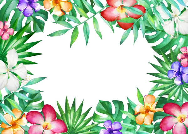 Tropikal Yaprak Çiçek Beyaz Arka Plan Üzerinde Izole Suluboya Çerçeveli — Stok fotoğraf