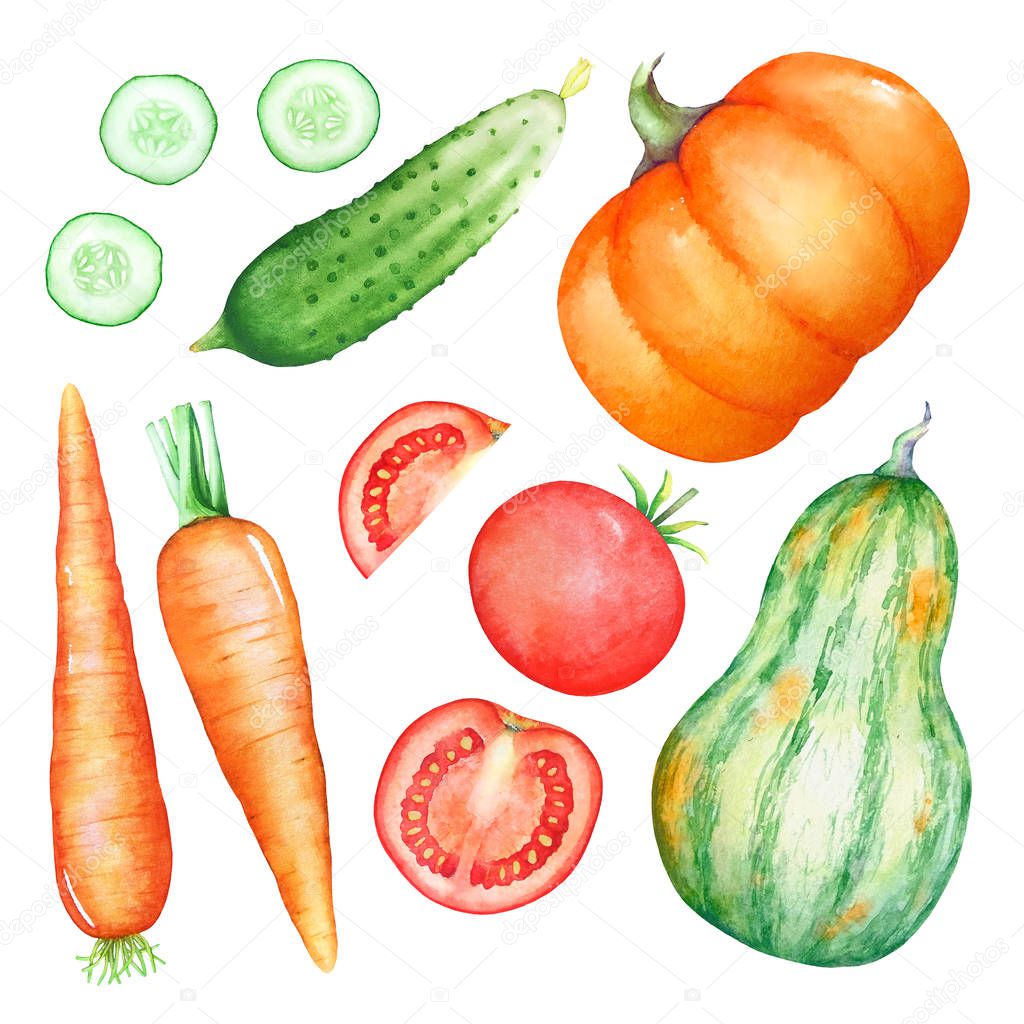 Set of watercolor hand drawn illustrations of vegetables isolated on white background