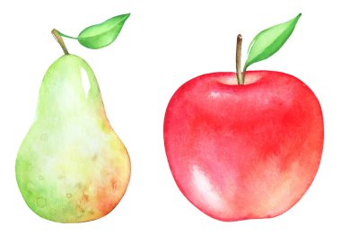 Elle çizilmiş sanatsal suluboya meyve kümesi. Armut ve elma beyaz arka plan üzerinde izole.