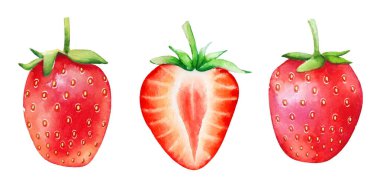 Suluboya kümesi el beyaz arka plan üzerinde izole çizilmiş çilek meyve.