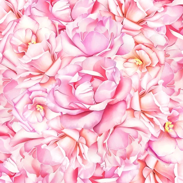 Acuarela Dibujada Mano Hermoso Fondo Natural Ramo Rosas Rosadas Para — Foto de Stock