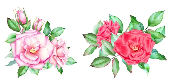 Éléments Aquarelle Dessinés Main Pour Design Floral Roses Rouges Roses — Photo