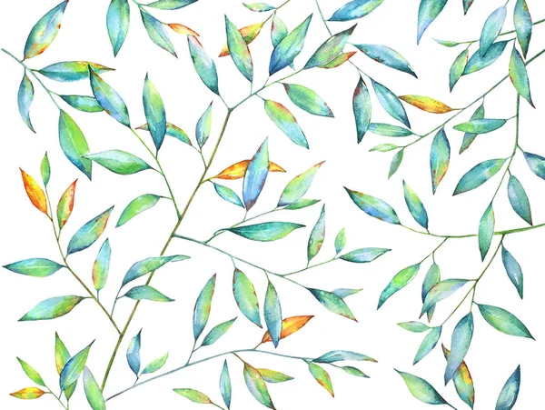 수채화 패턴입니다 배경에 나뭇잎과 나뭇가지 — 스톡 사진