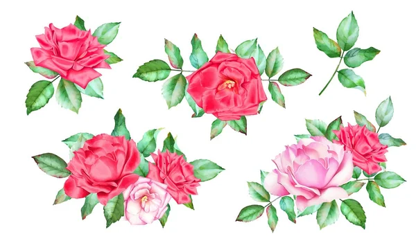 Set Watercolor Hand Drawn Bouquet Red Roses Green Leaves Isolated — Stock Photo, Image