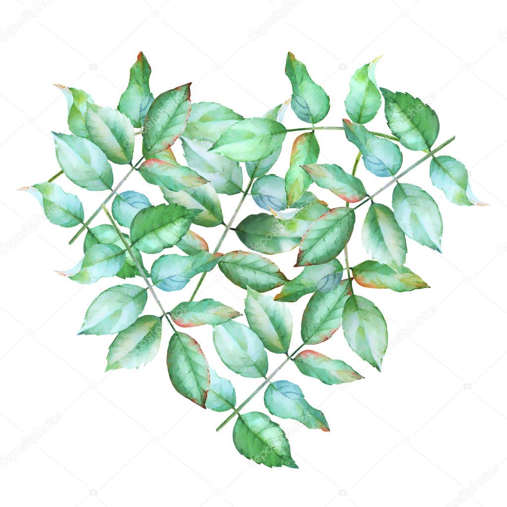 Watercolor hand drawn green leaves in a heart shape. Heart shaped natural background.