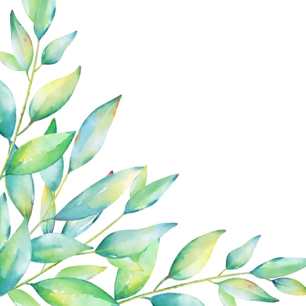Quadratische Vorlage Für Florales Kartendesign Aquarell Handgezeichnete Grüne Blätter Und — Stockfoto