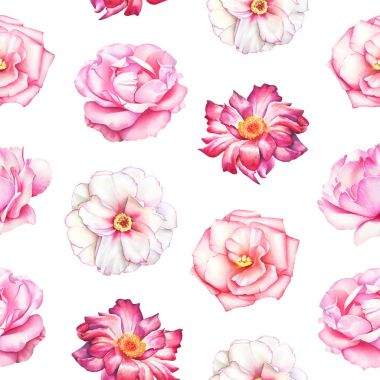 Beyaz arka plan üzerinde beyaz, pembe ve kırmızı Şakayık çiçekleri ile sulu boya Dikişsiz desen.