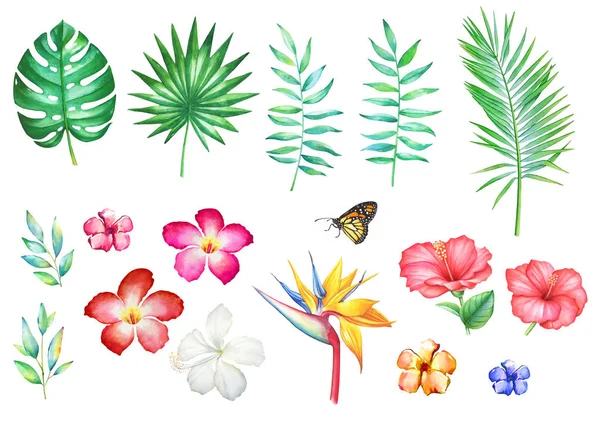 Набор Акварели Ручной Работы Тропические Цветы Растения Изолированы Белом Фоне — стоковое фото