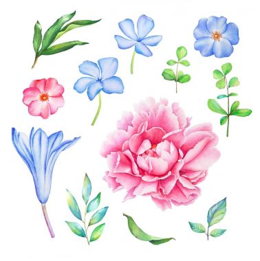 Suluboya elle çizilmiş çiçek toplama yaprakları ile beyaz arka plan üzerinde izole mavi ve pembe çiçekler.