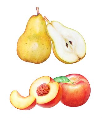 Elle çizilmiş suluboya armut ve şeftali beyaz arka plan üzerinde izole koleksiyonu.