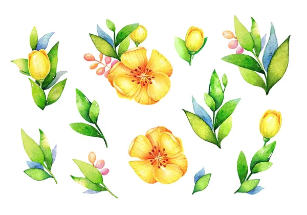 Fondo Con Flores Verano Acuarela Bayas Útil Para Diseño Banners — Foto de Stock