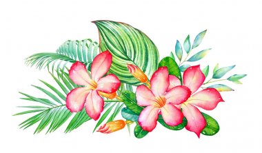 Tropik çiçekler ve bitkiler üzerinde beyaz arka plan izole suluboya kompozisyon el ile çizilmiş. 