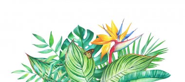 Suluboya tropikal bitki